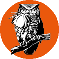 CIABOC Owl Logo